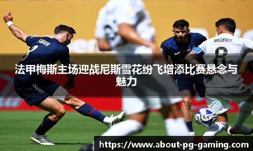 法甲梅斯主场迎战尼斯雪花纷飞增添比赛悬念与魅力